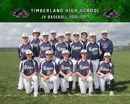Baseball 2017
